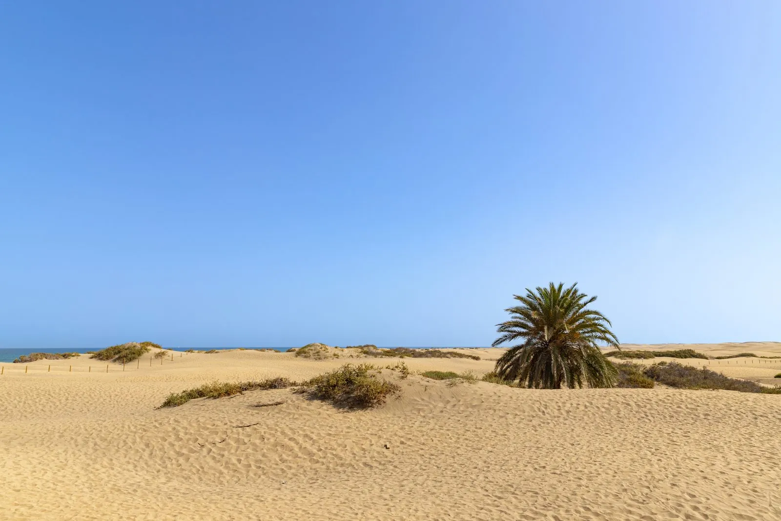 Aerial view of Maspalomas beach and its dunes meeting the Atlantic on Gran Canaria