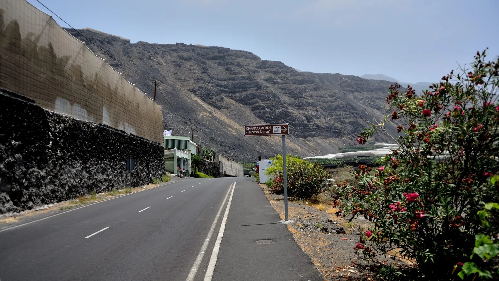 Palm-fringed path down to Charco Verde beach near Puerto Naos, La Palma