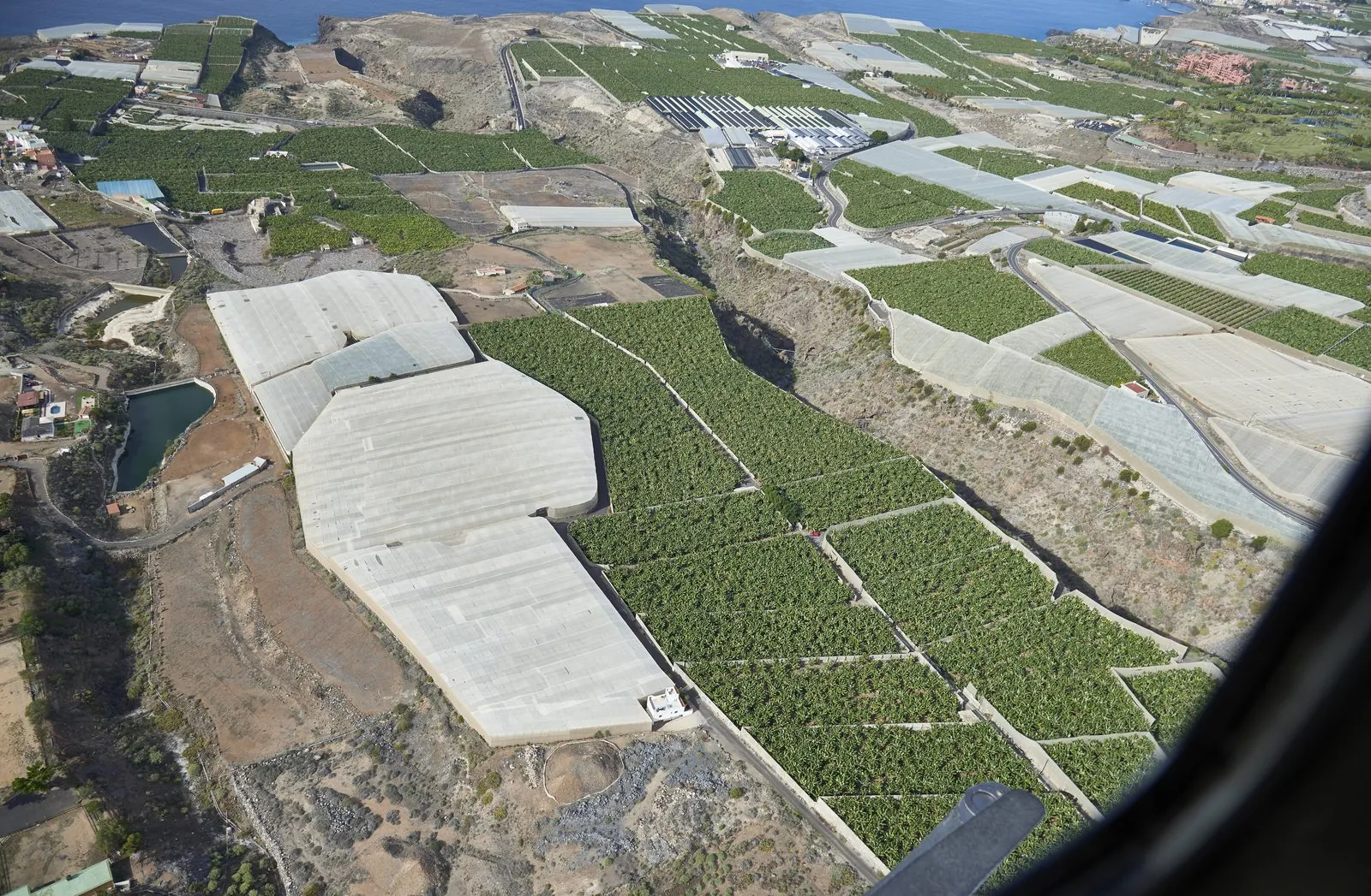 Aerial view of banana plantations on Tenerife