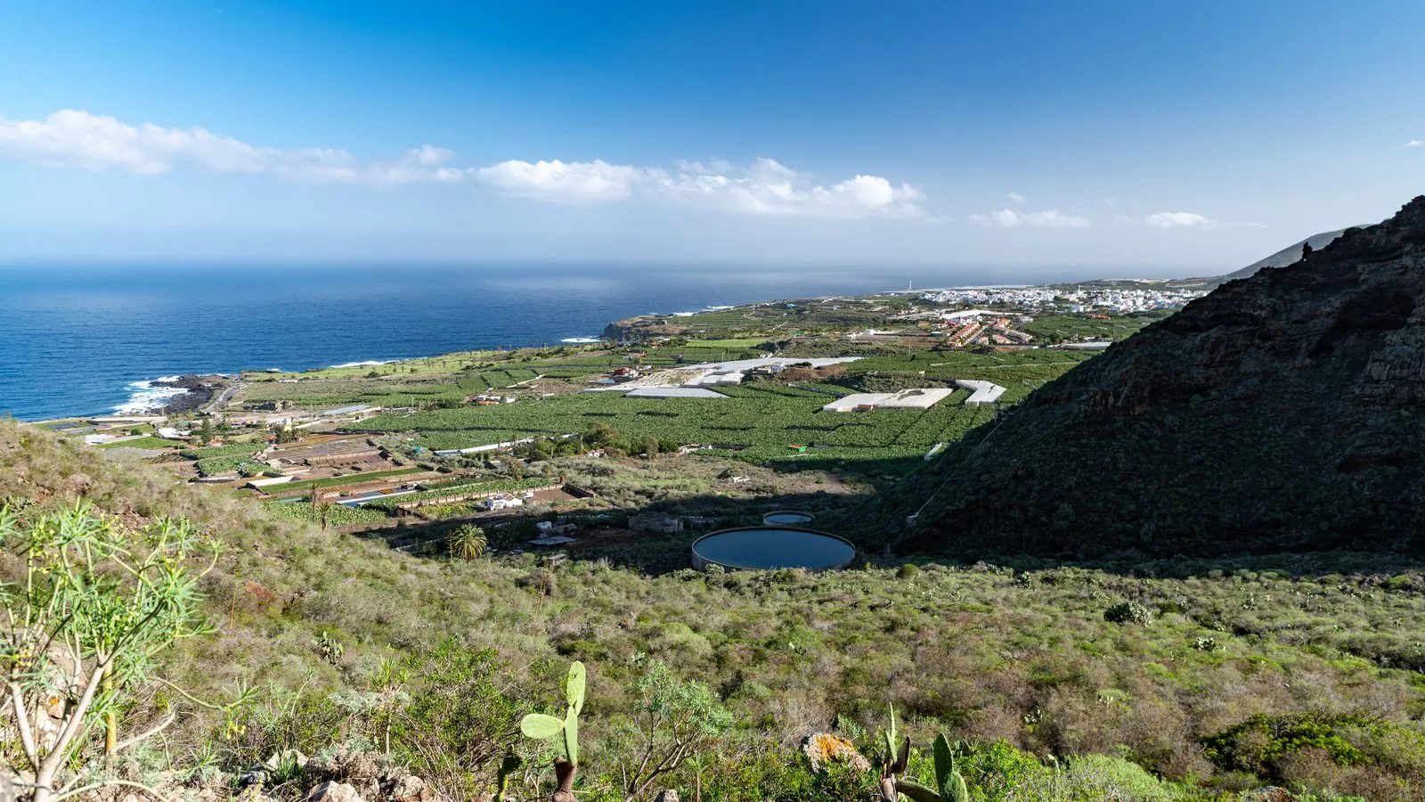 Canary banana plantations near Buenavista del Norte, Tenerife