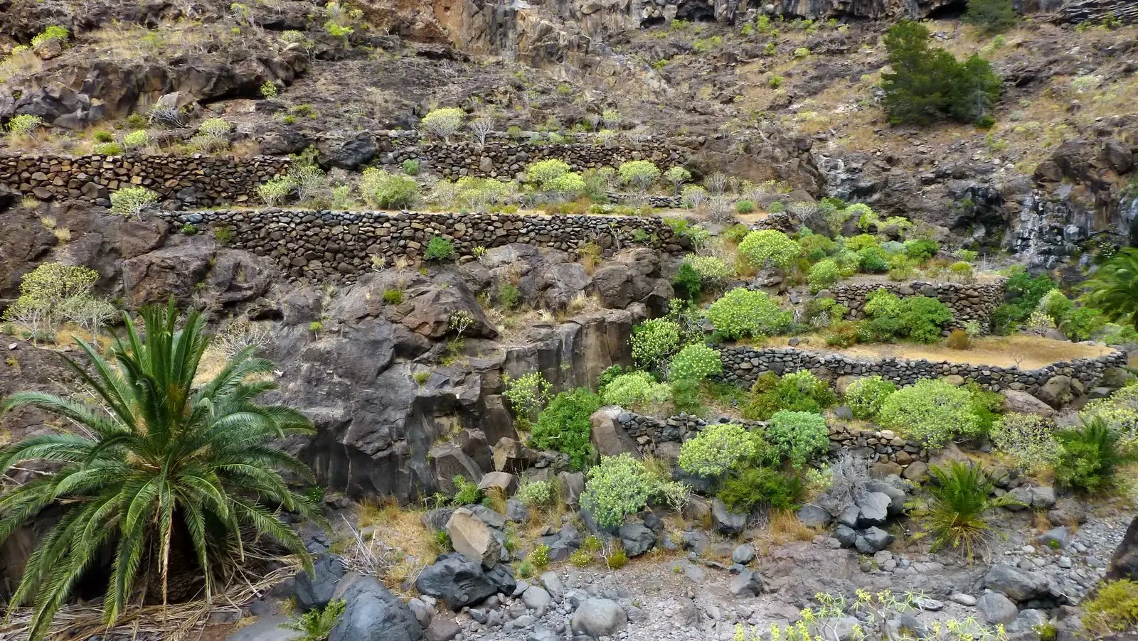 Biosphere Reserve La Gomera 28