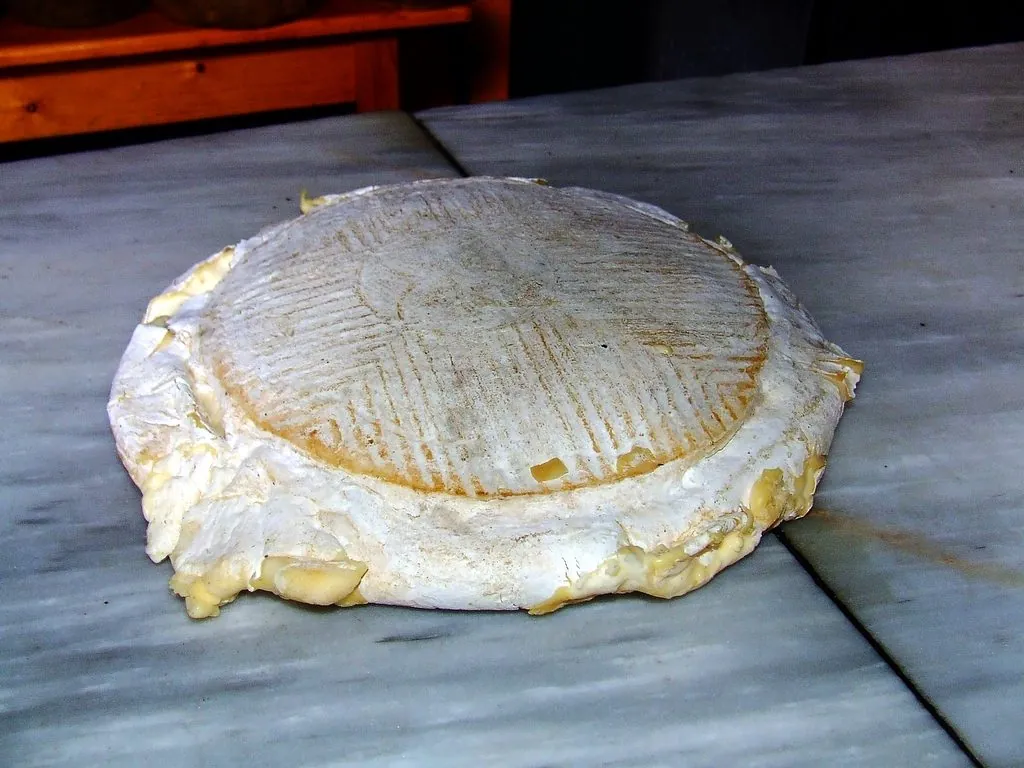 Queso de flor, the thistle-curdled cheese from the northwest of Gran Canaria