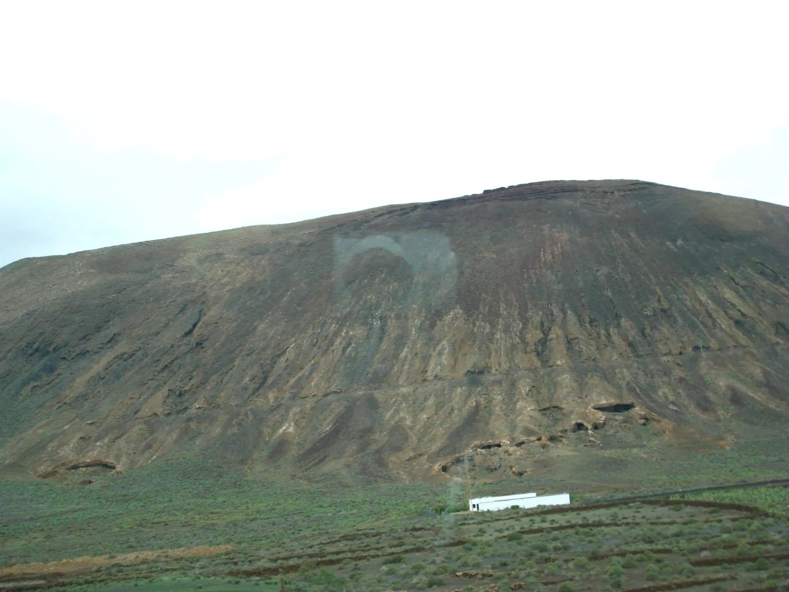 Vines planted in black volcanic ash at the foot of a volcanic peak in the Canary Islands wine country