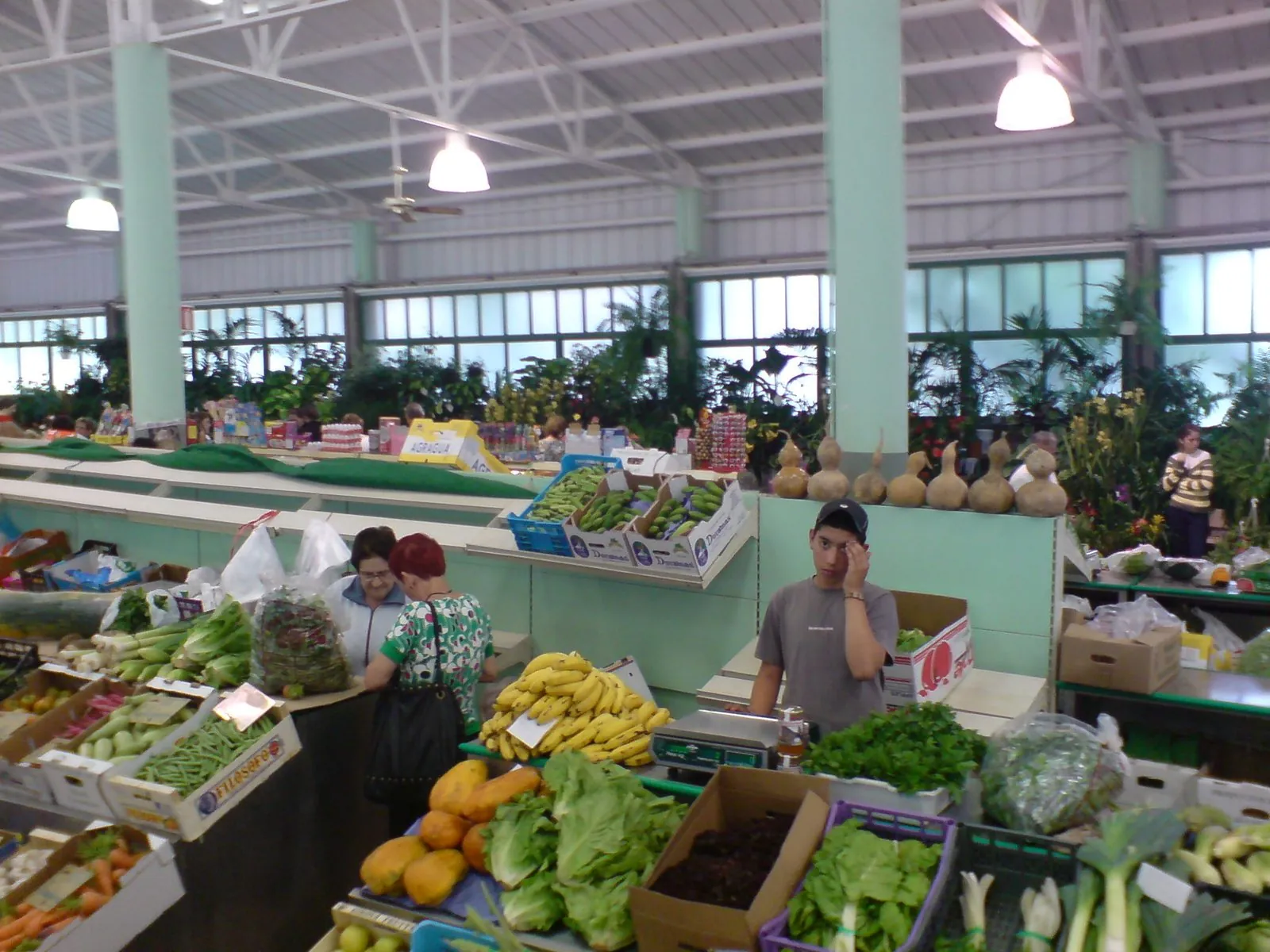 Mercado agricola vega san mateo puesto gran canaria