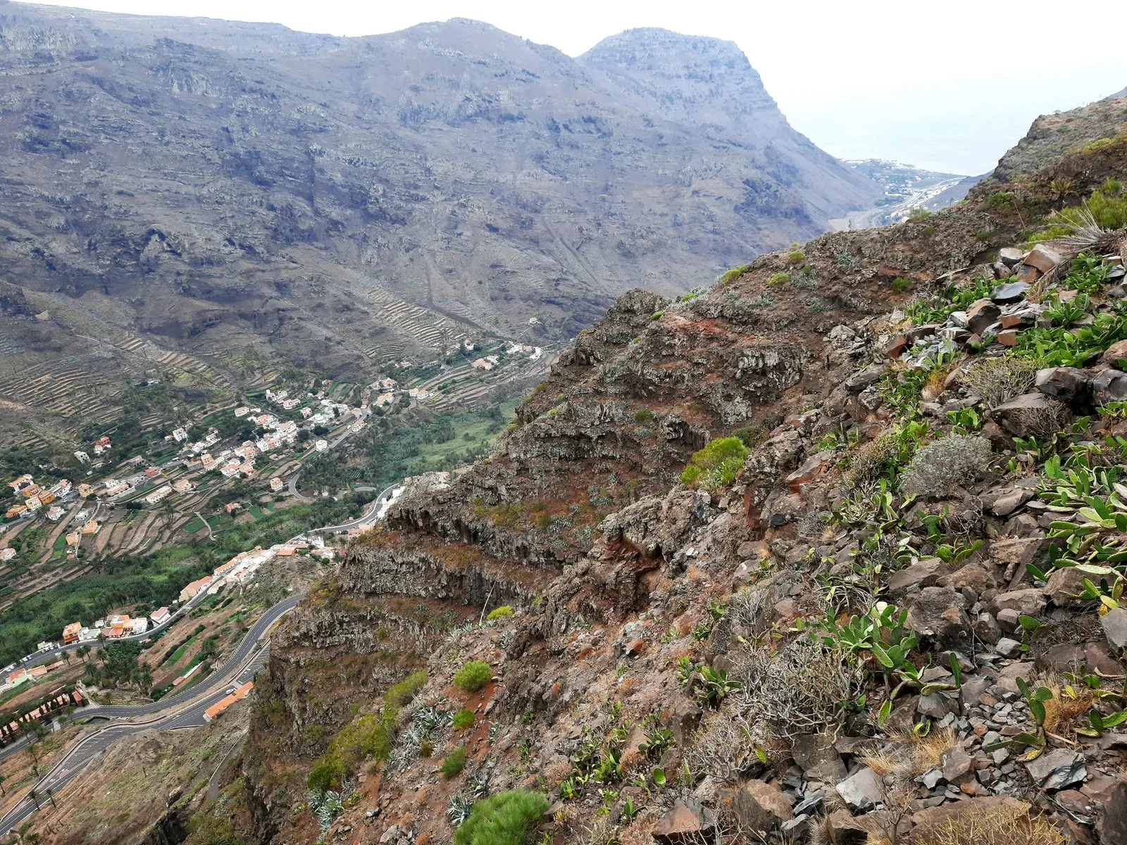 The palm-filled Valle Gran Rey, La Gomera, where palm honey is traditionally made