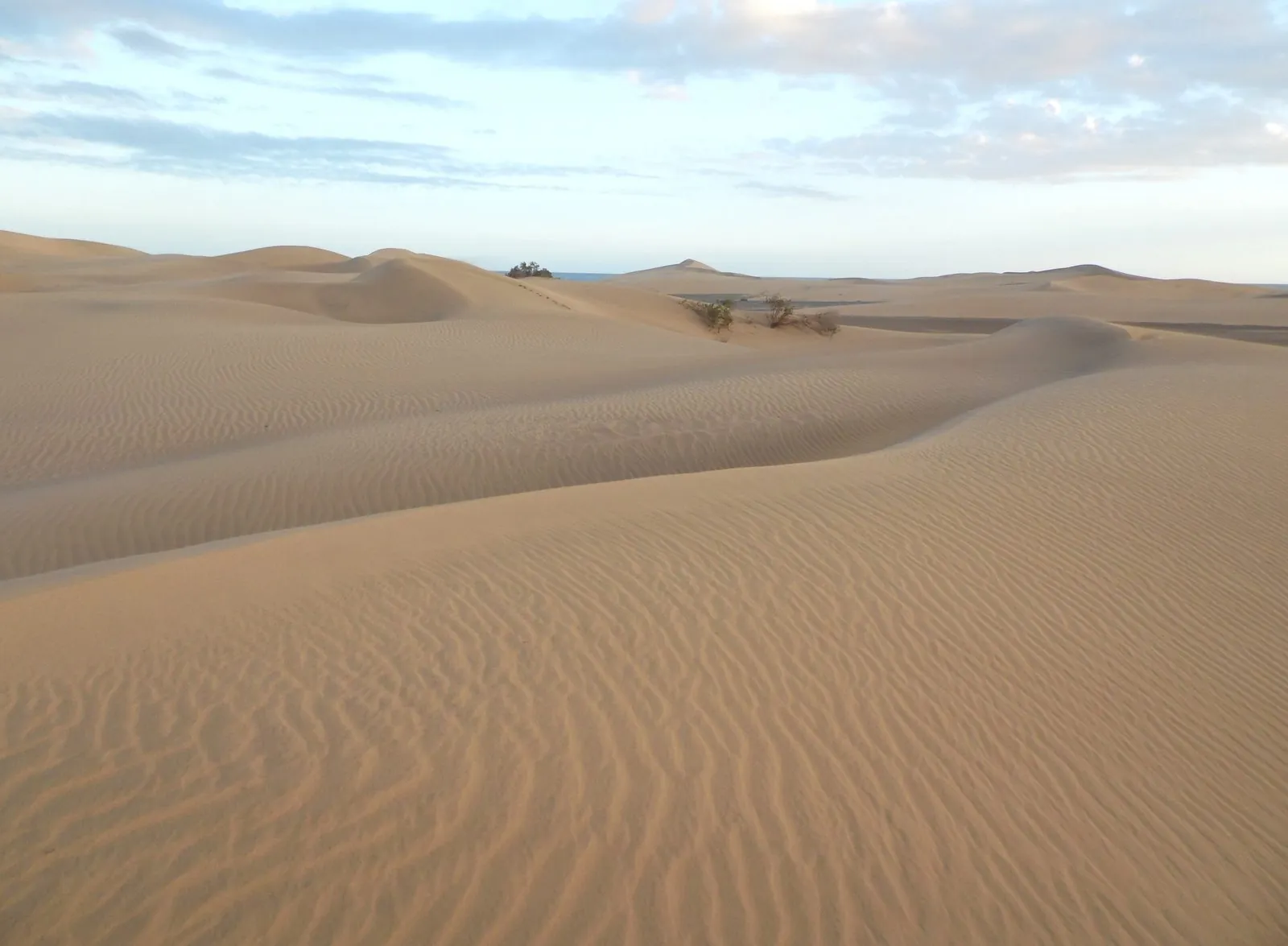 The smooth sand dunes of Maspalomas on the south coast of Gran Canaria