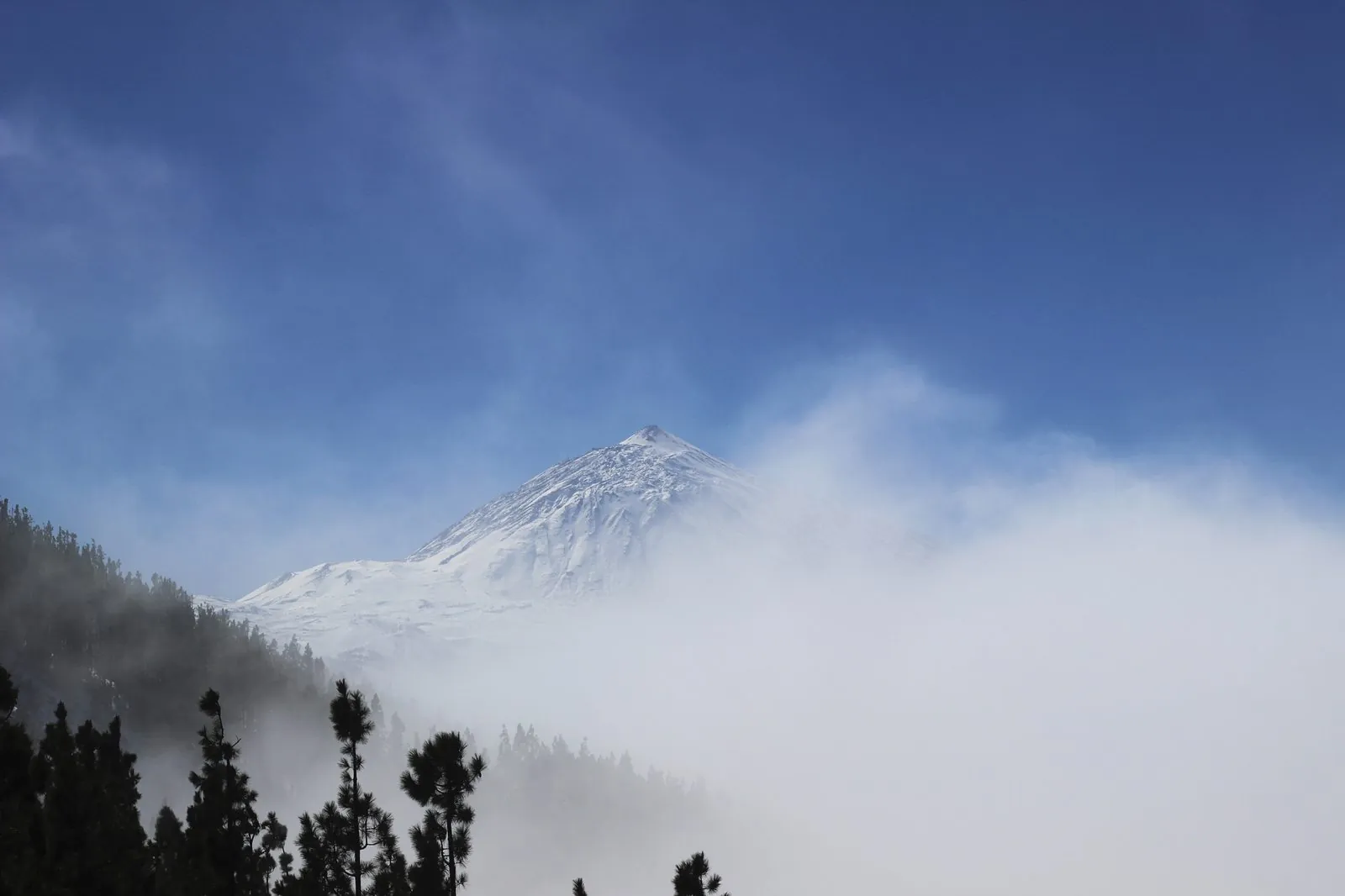Snow-covered Mount Teide rising above Tenerife in winter