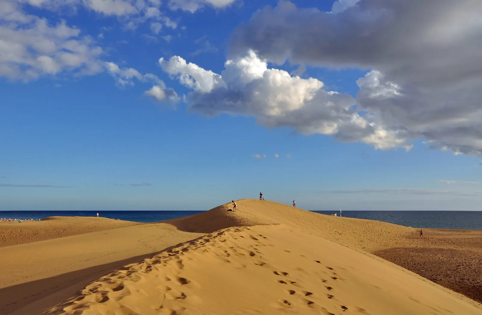 Rolling dunes of the Maspalomas nature reserve, Gran Canaria