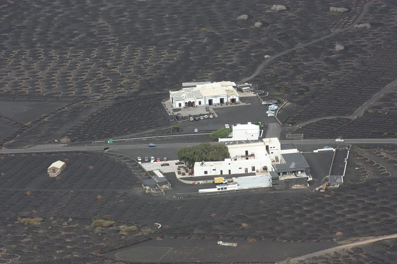 The La Geria wine region below Montana de Guardilama, Lanzarote