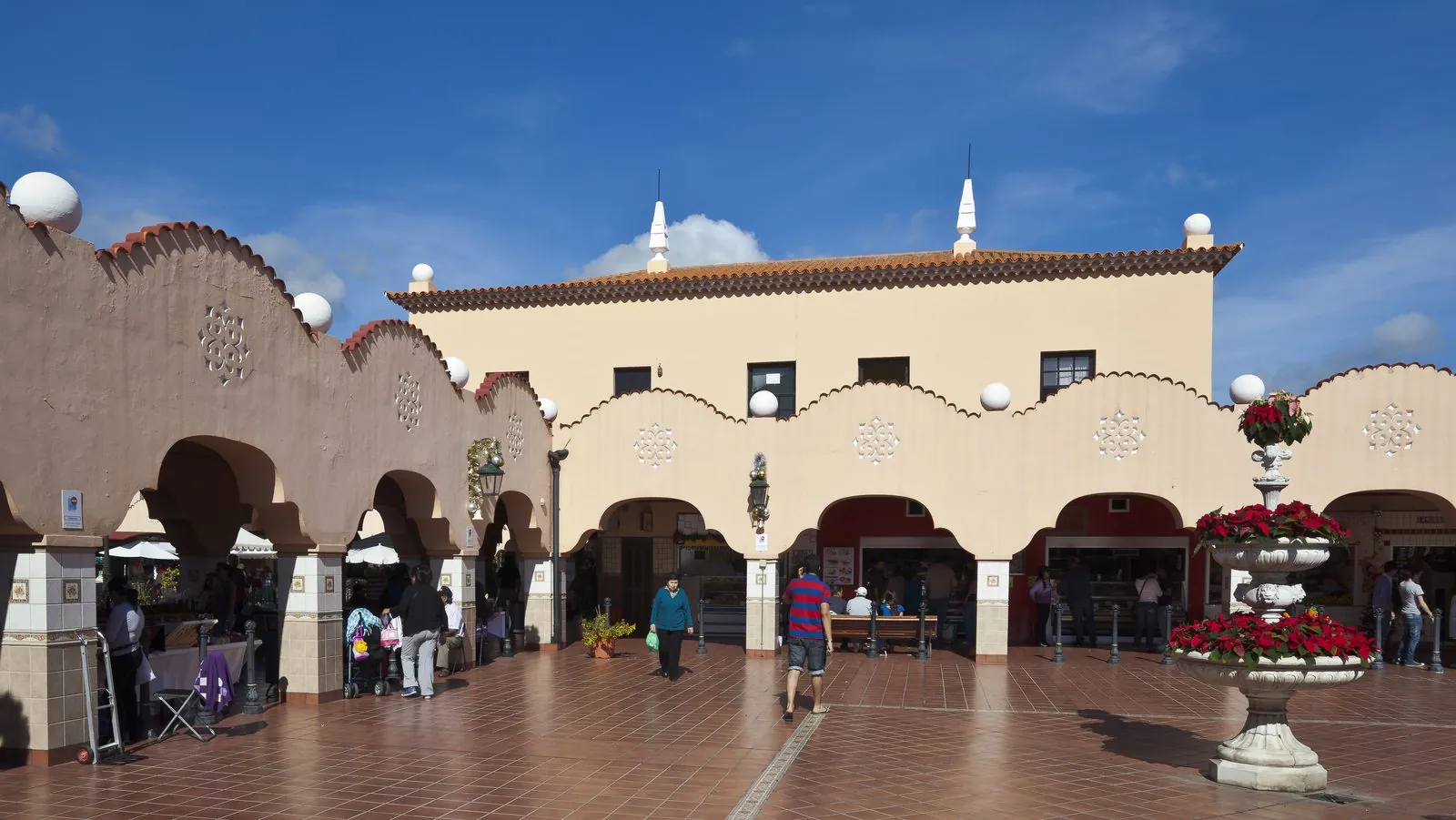 Produce stalls inside the Mercado de Nuestra Señora de África market in Santa Cruz de Tenerife