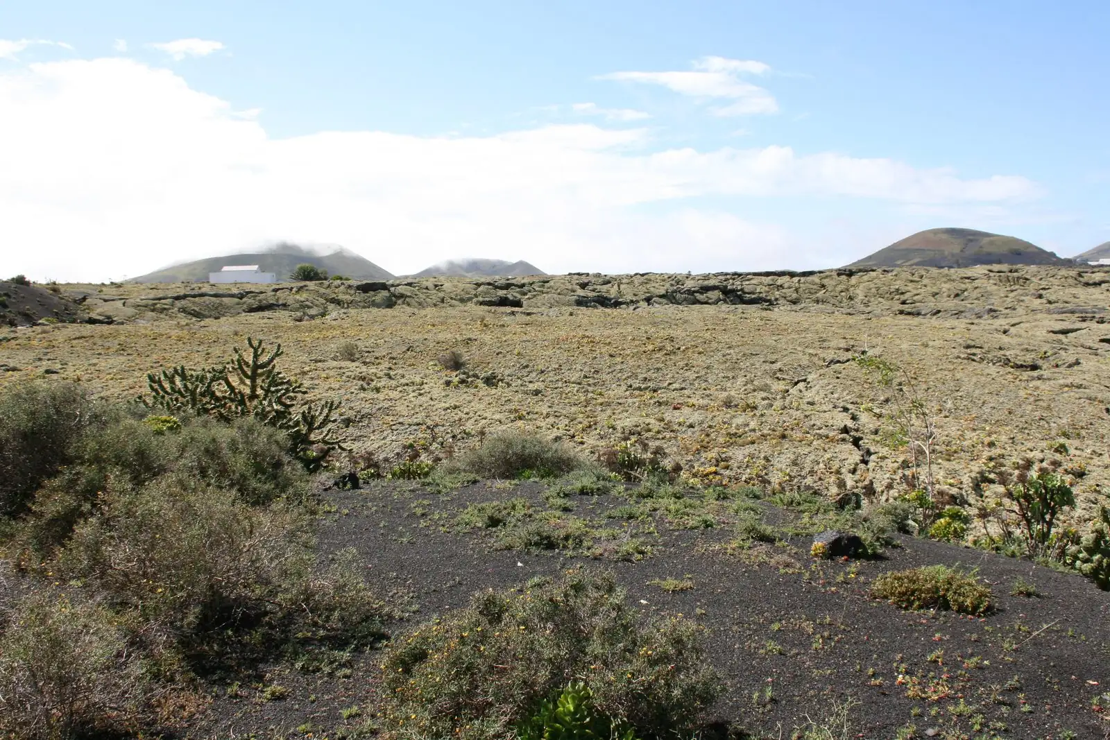An open road through the volcanic landscape near Masdache, Lanzarote