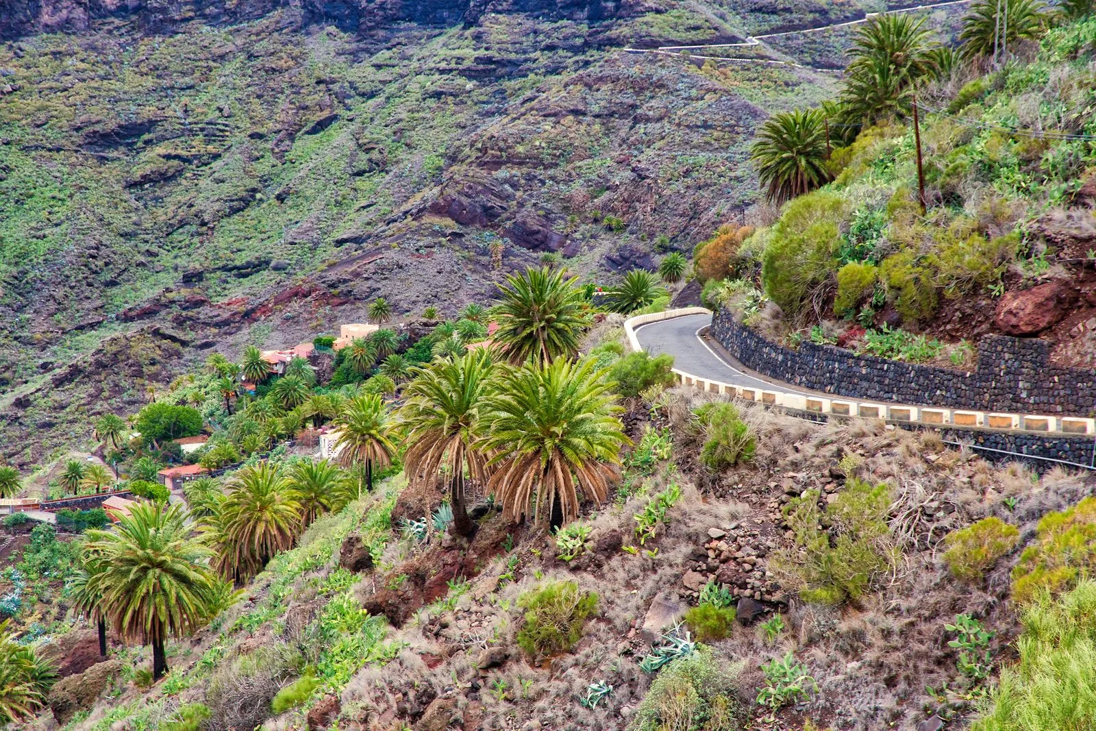 Hairpin bends of the Masca road descending through dramatic ridges in Tenerife