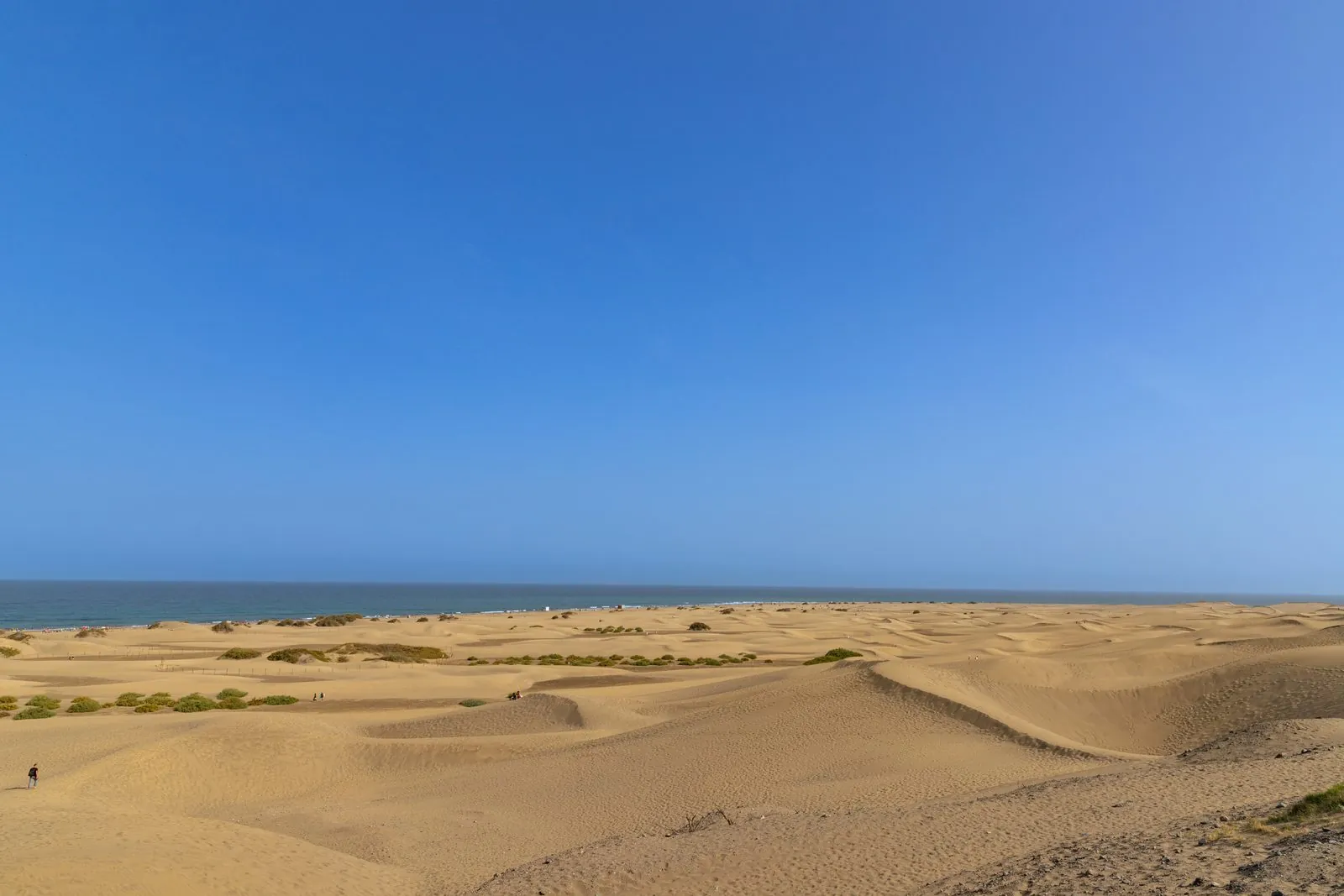 The rolling sand dunes of Maspalomas in southern Gran Canaria