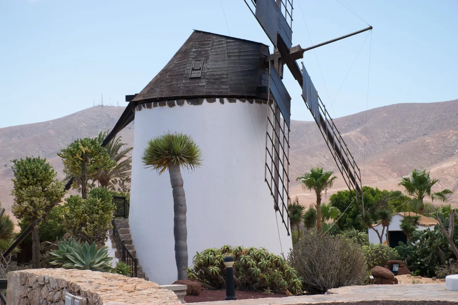 Windmill and gardens of the Molino de Antigua museum, Fuerteventura