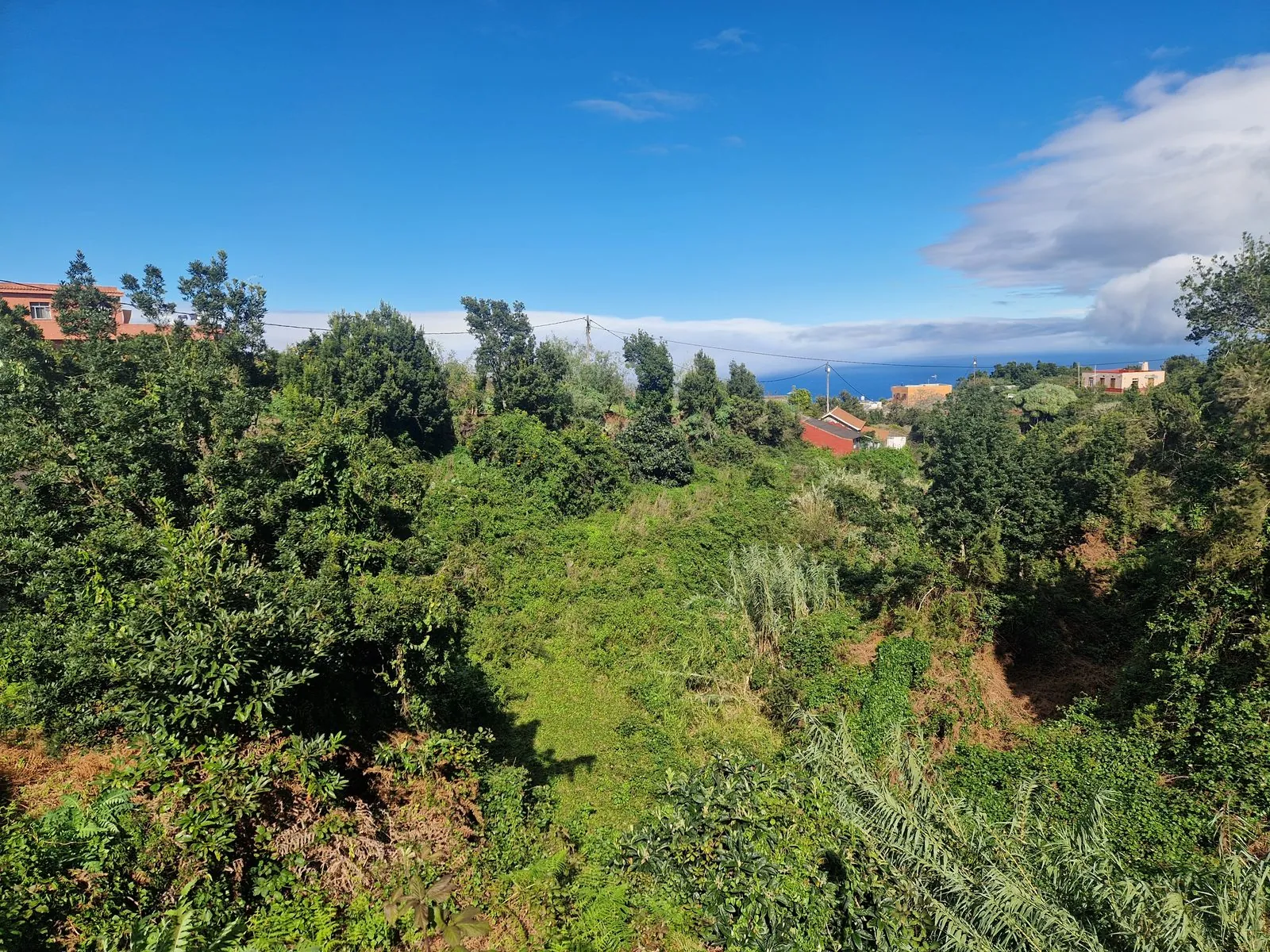 Green ridges of Barlovento dropping to the Atlantic in northern La Palma