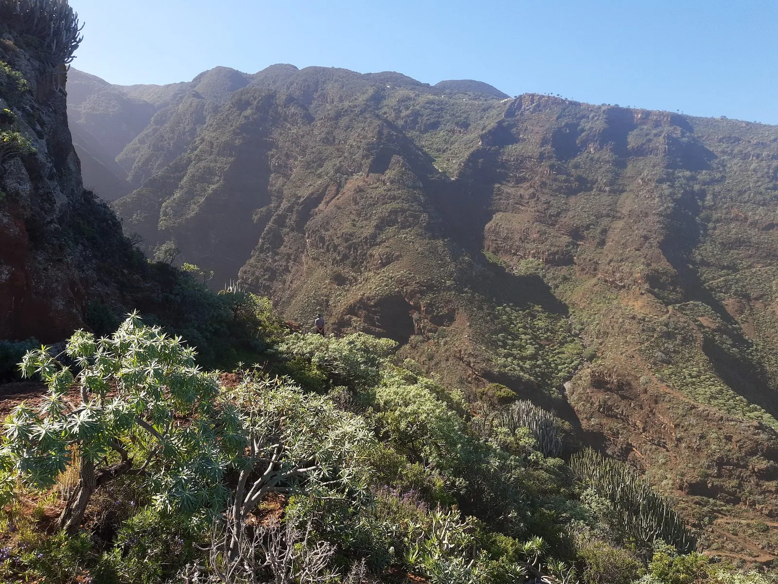 Terraced ravine landscape of the Garafia district around El Tablado, La Palma