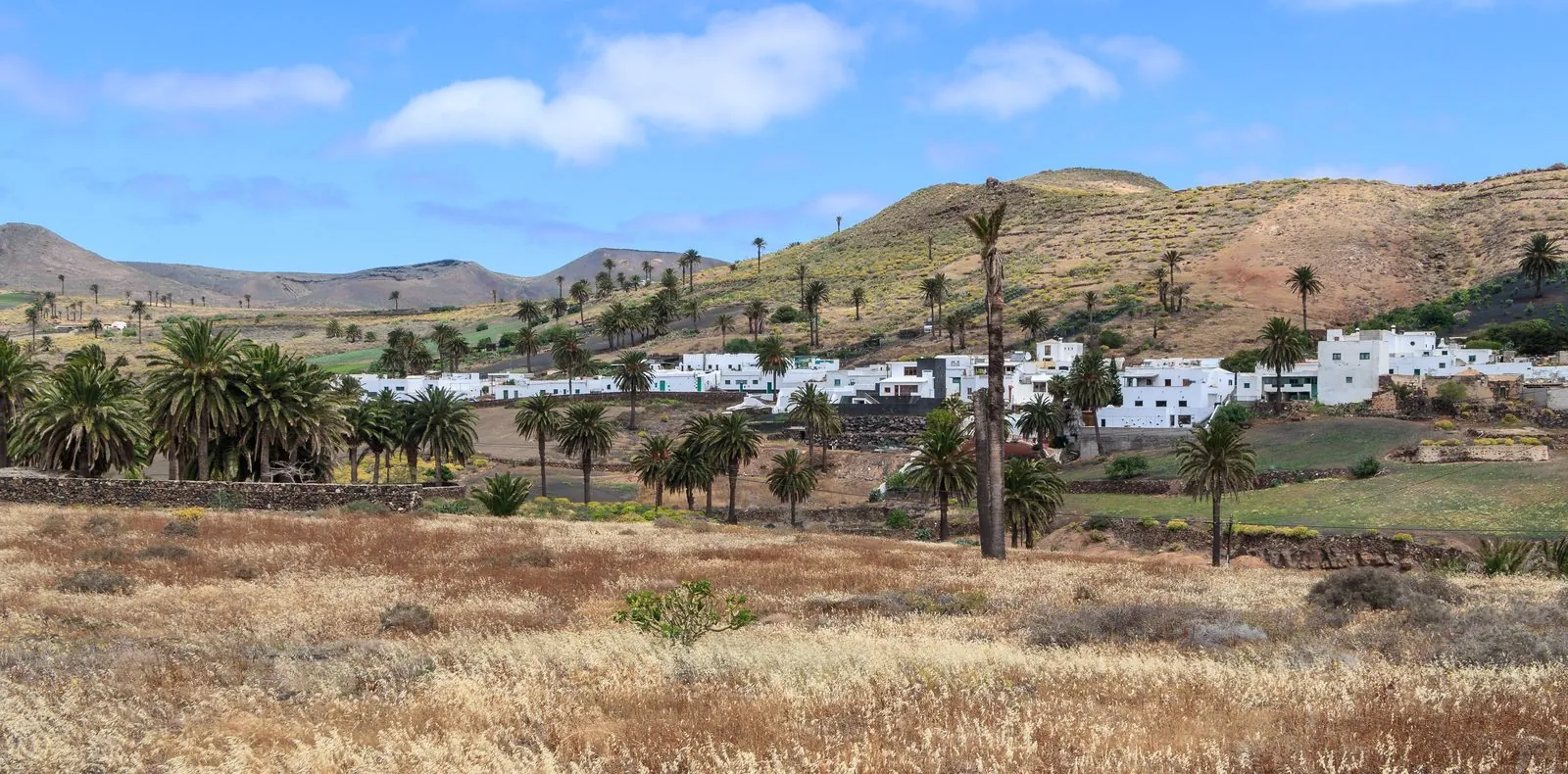 The white village of Haria set among palm trees in northern Lanzarote