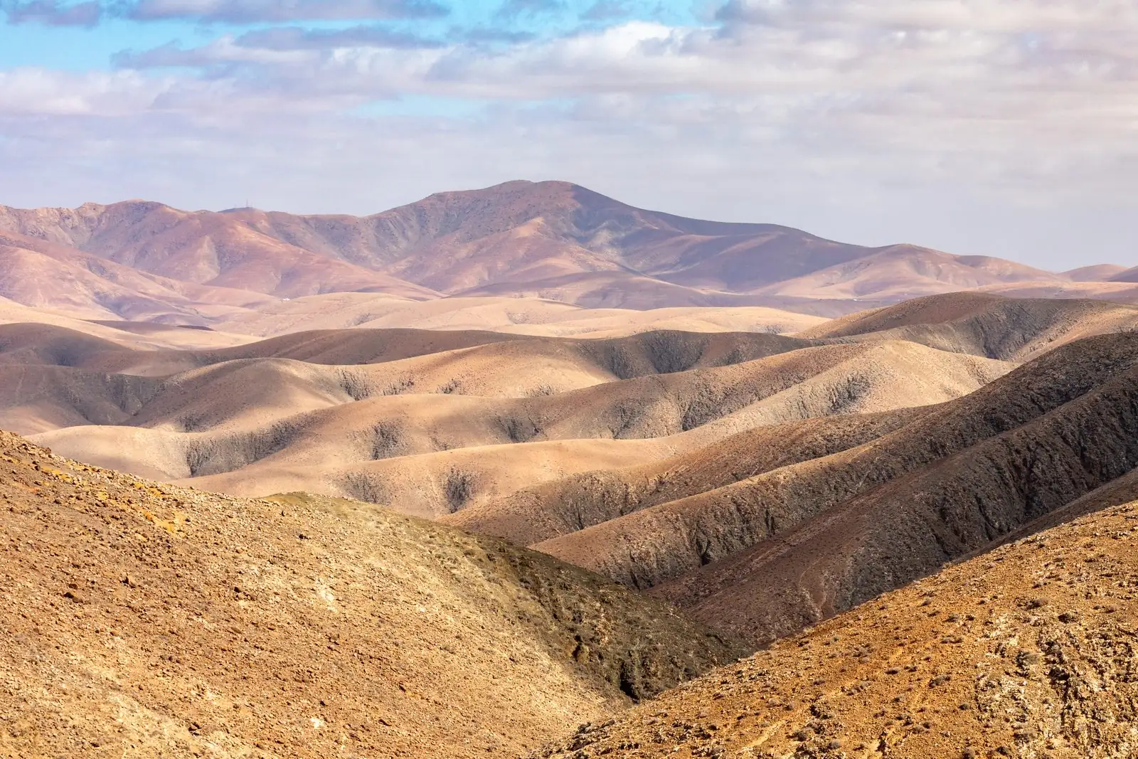 Pajara (Fuerteventura, Spain), Mirador Astronómico de Sicasumbre, Ausblick -- 2025 -- 7144