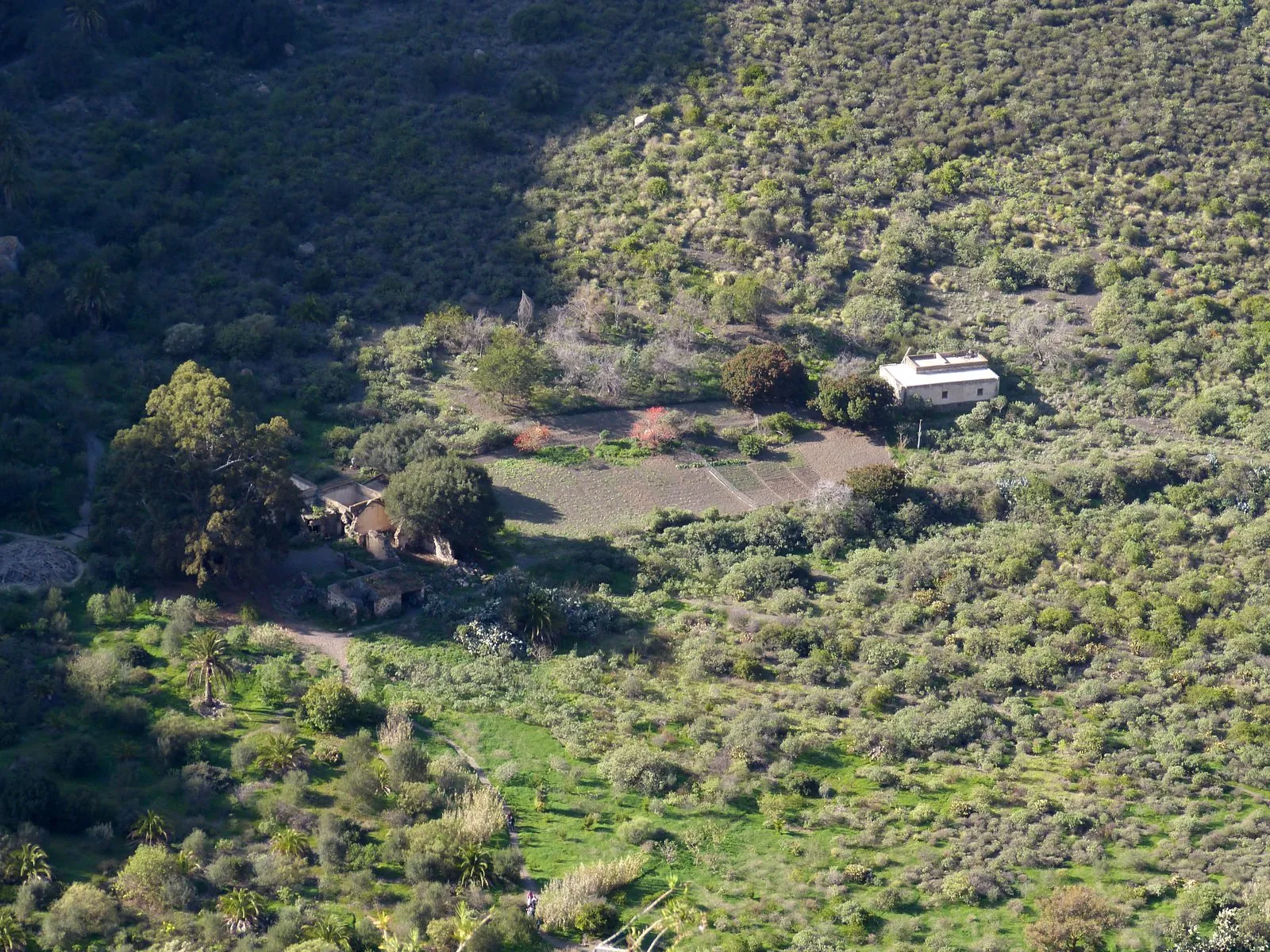 The cultivated floor of the Bandama crater seen from the rim, Gran Canaria