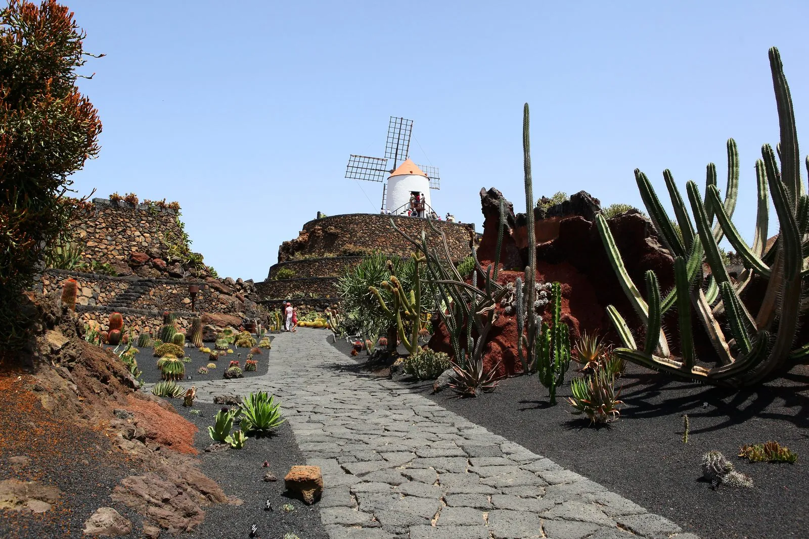 The terraced amphitheatre of César Manrique's Jardín de Cactus in Guatiza, Lanzarote