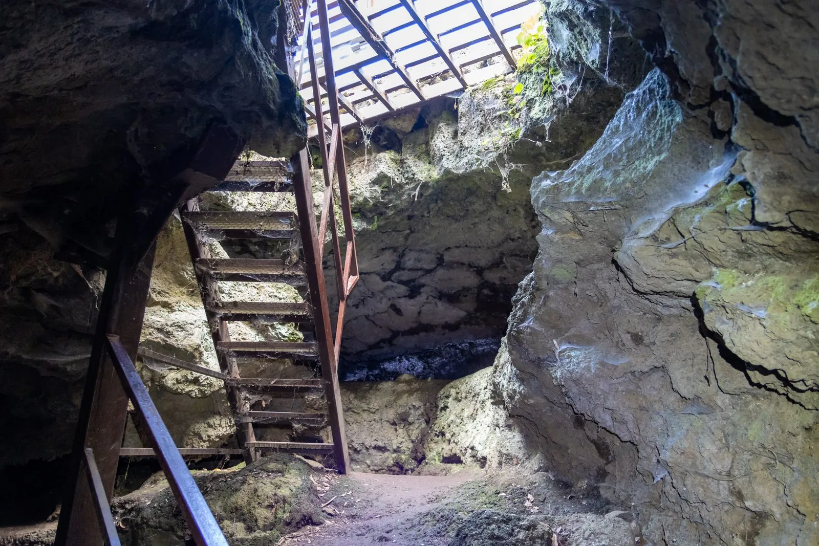 A metal staircase descending into the volcanic rock entrance of the Cueva del Viento lava tube near Icod de los Vinos, Tenerife