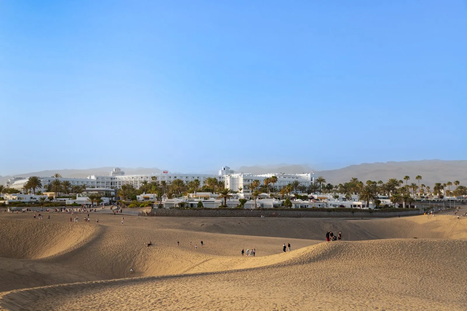 Free to wander: the Maspalomas dunes at sunset, Gran Canaria