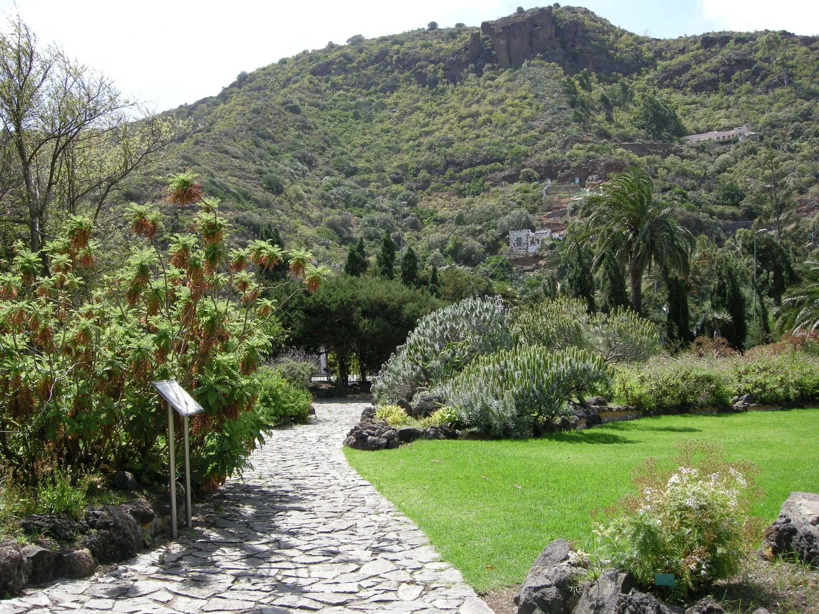 A path winding through the terraced lawns and hillsides of the Jardin Botanico Canario Viera y Clavijo, Gran Canaria
