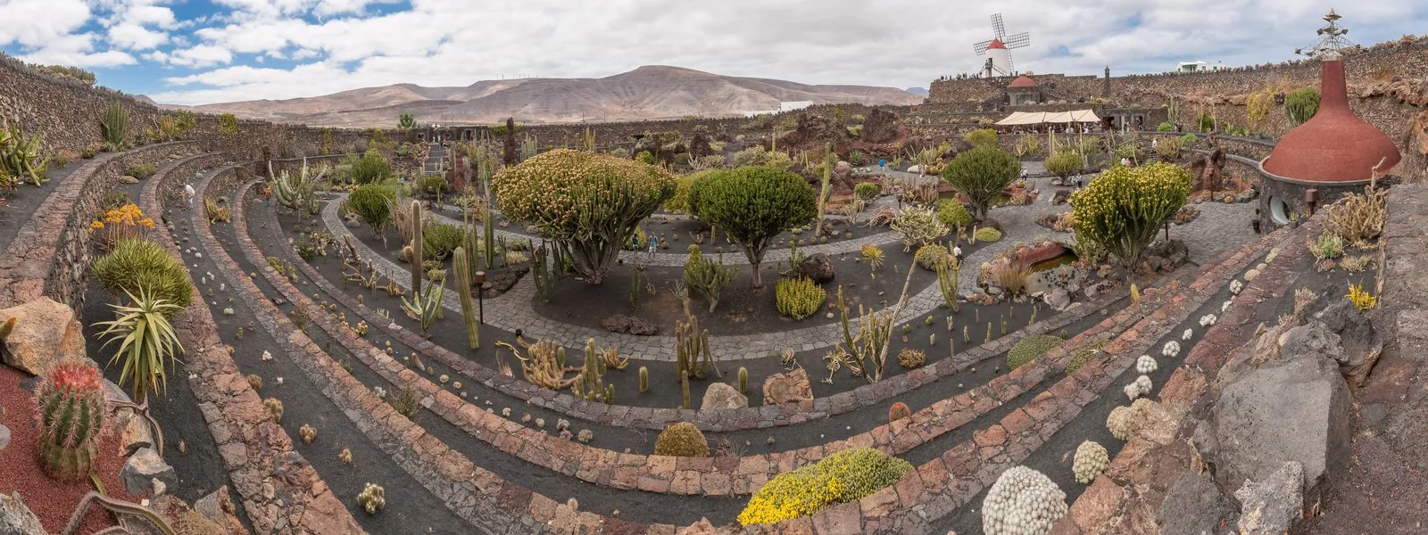 The terraced cactus garden and windmill of the Jardin de Cactus, Lanzarote