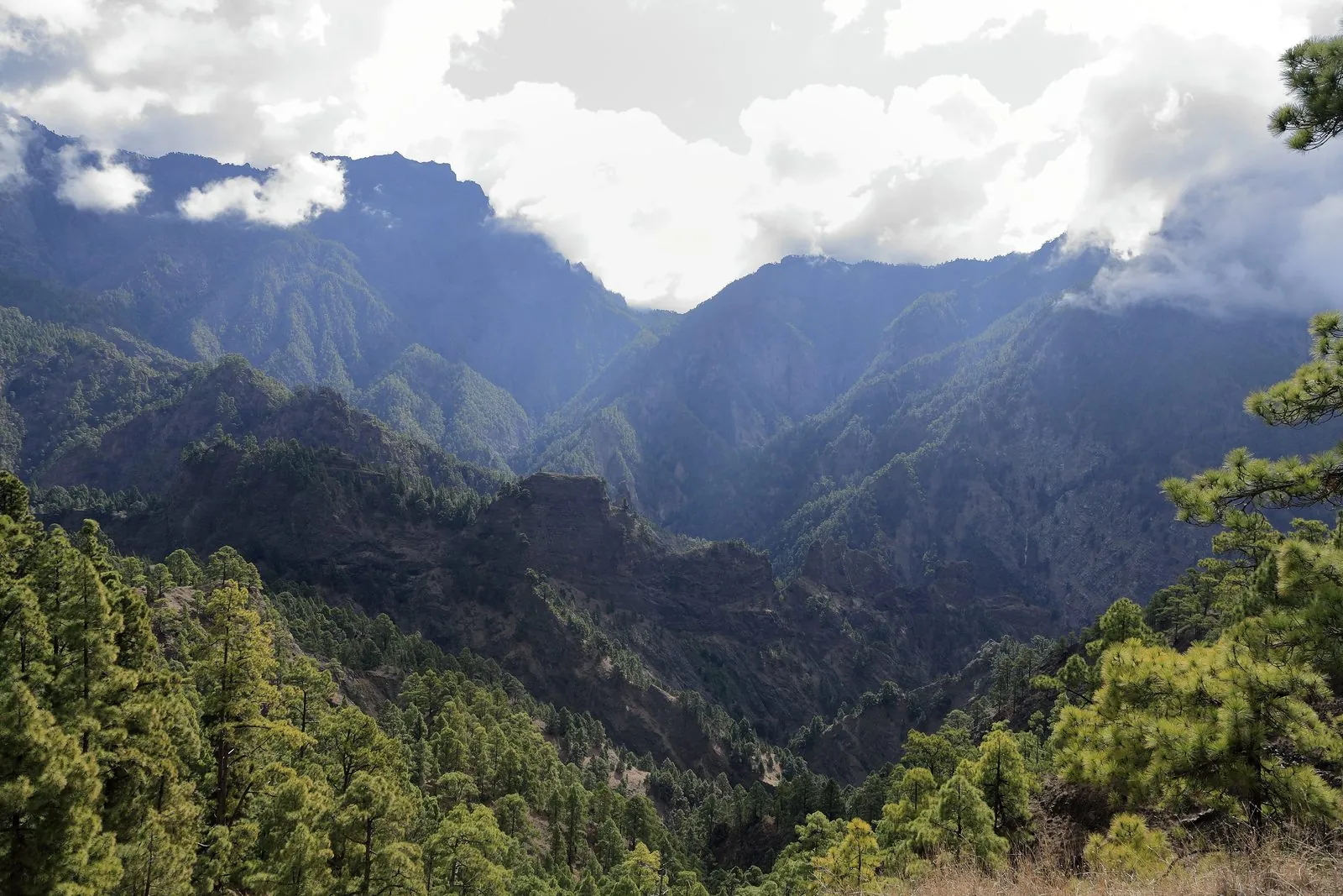 Forested peaks of the Caldera de Taburiente seen from La Cumbrecita, La Palma