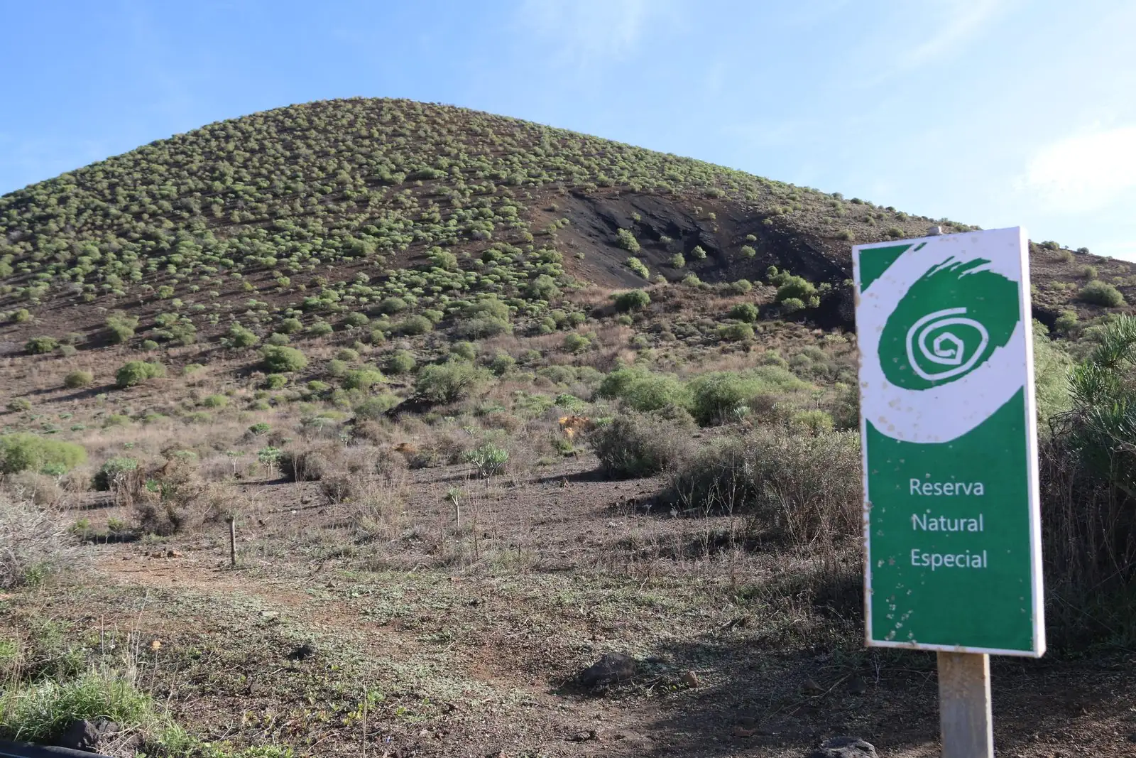 Arid lava terrain of the Malpaís de Güímar special nature reserve, Tenerife