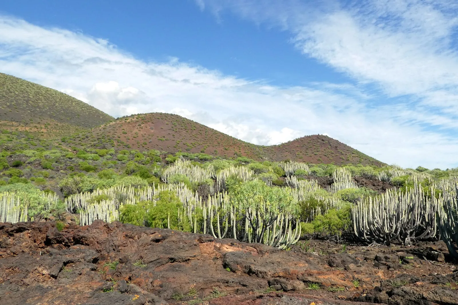 The volcanic badland lava field of Güímar, Tenerife