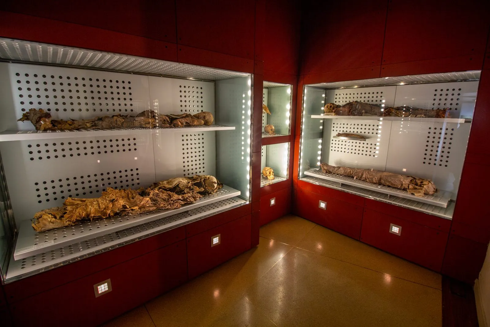 The Museum of Nature and Archaeology (MUNA) building in Santa Cruz de Tenerife