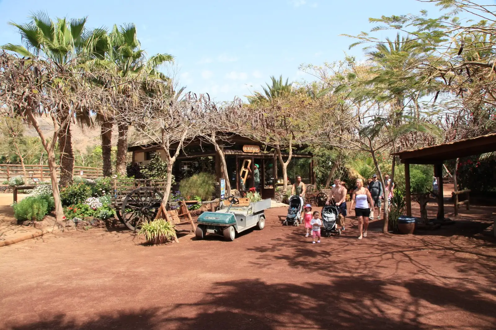Lush gardens and grounds of Oasis Park zoo in La Lajita, Fuerteventura