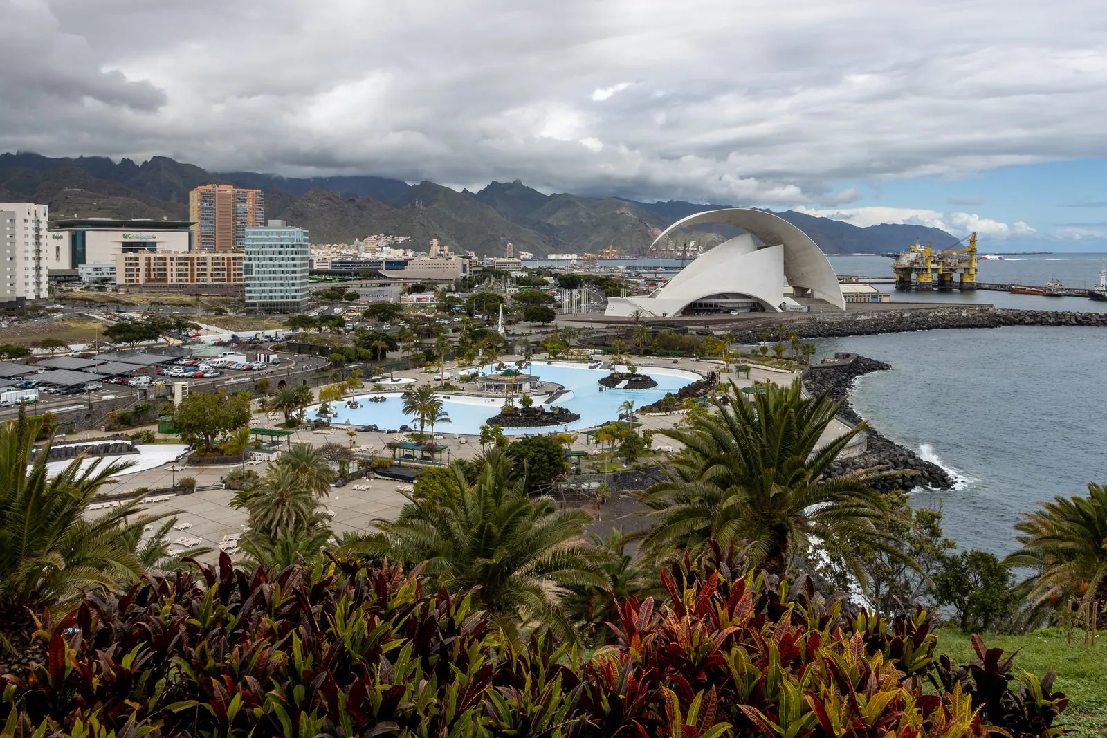 Palms of the Palmetum botanical garden overlooking Santa Cruz de Tenerife