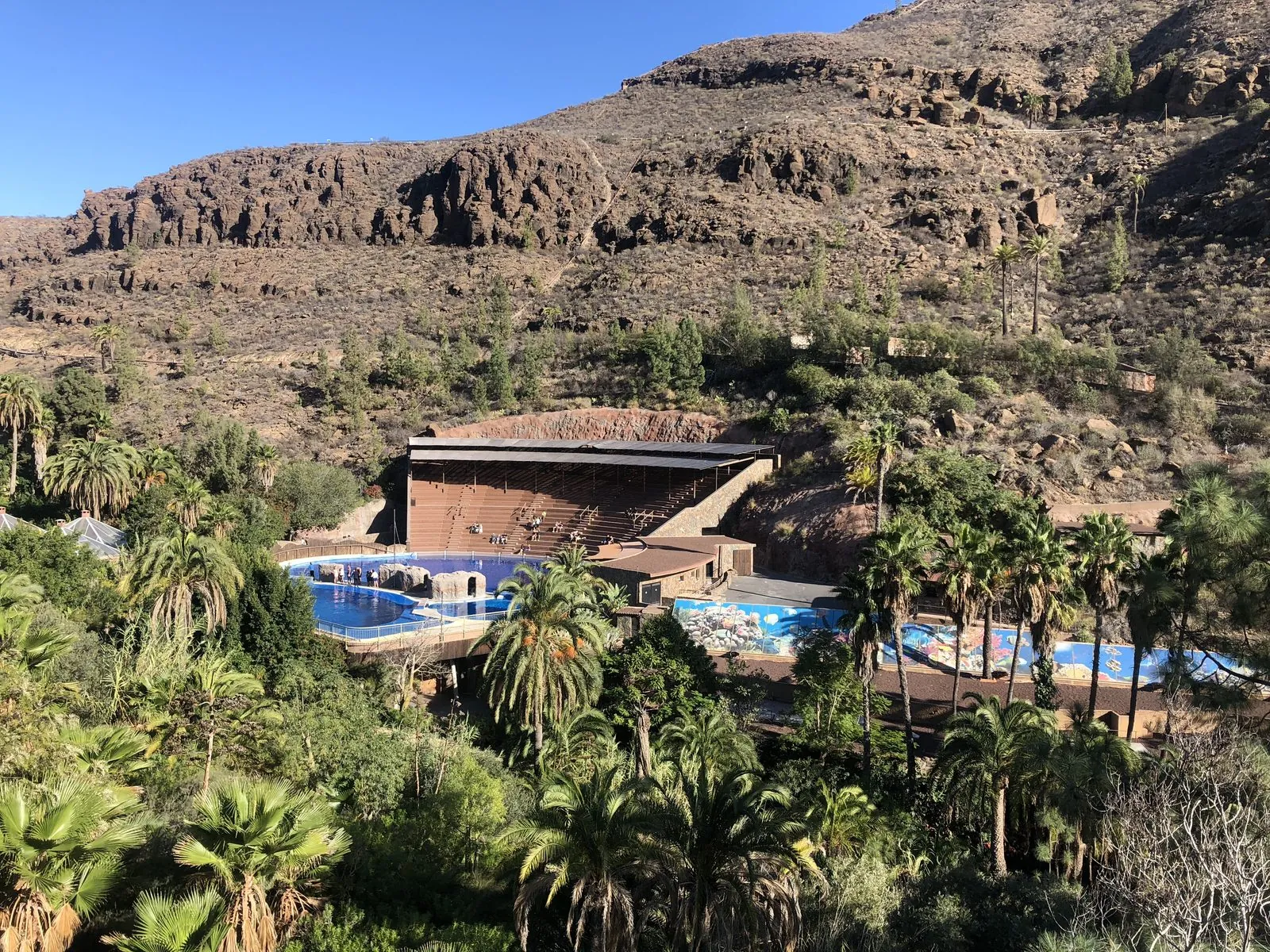 Palmitos Park nestled among palms in a green ravine below the arid mountains of southern Gran Canaria