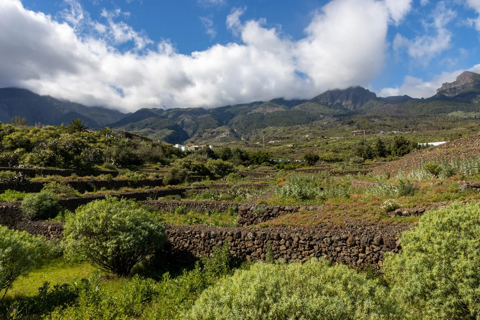 A stone pyramid with its staircase at the Pirámides de Güímar park on Tenerife