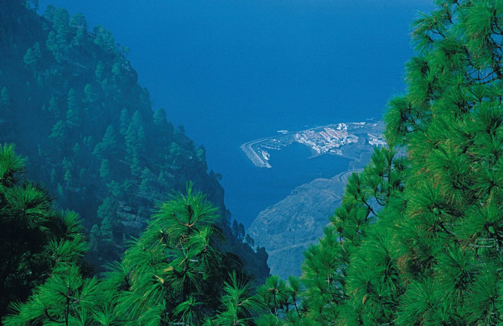 View from the Tamadaba pine forest down to Puerto de las Nieves and Agaete, Gran Canaria