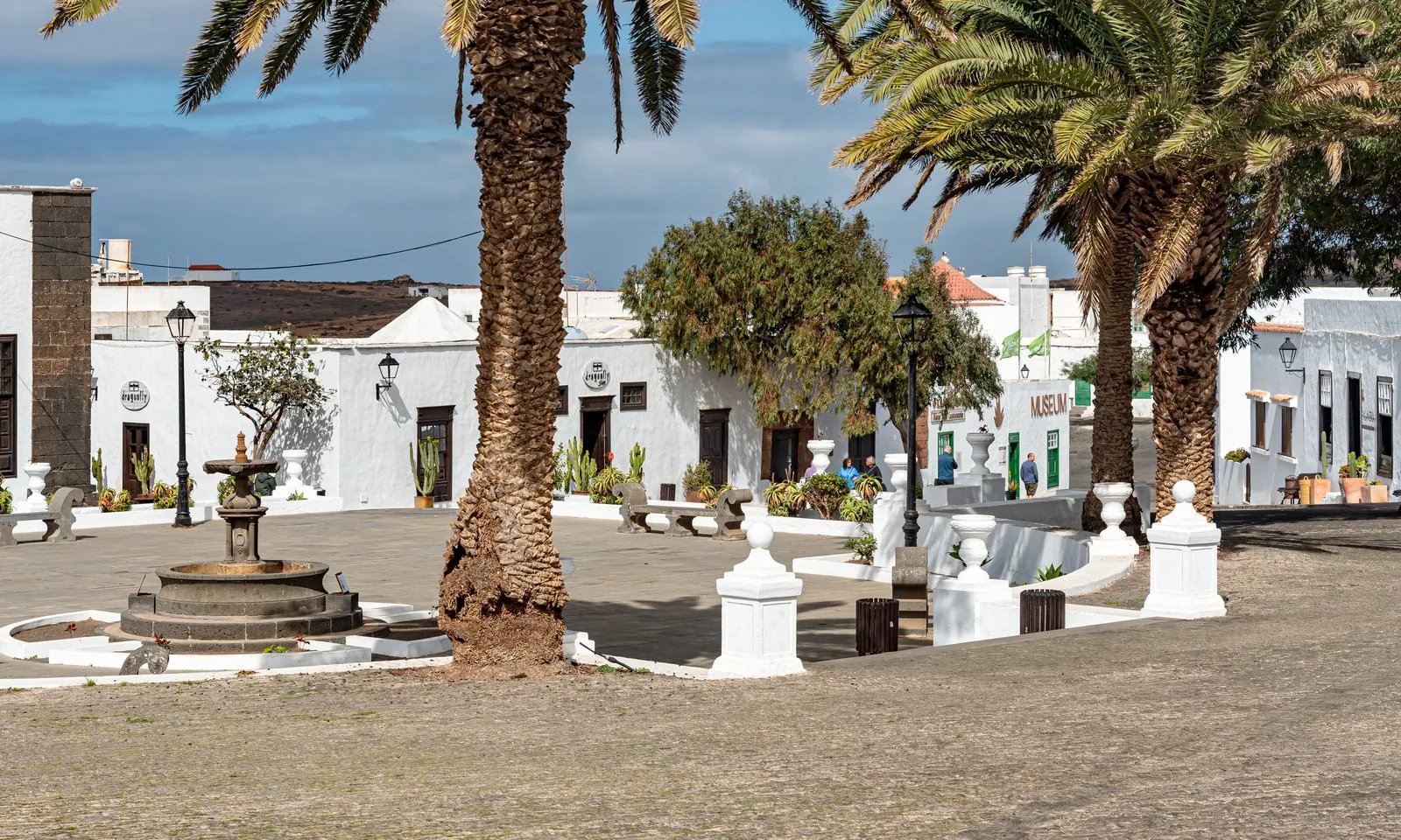 A palm tree and stone fountain in a whitewashed plaza of the historic town of Teguise, Lanzarote